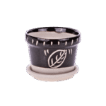 Petite coupelle de plantation